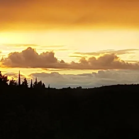 Un Petit Nid Dans La Garrigue Feriehus *